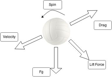 example of reaction paper about volleyball
